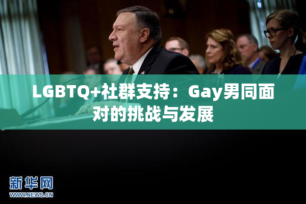 LGBTQ+社群支持：Gay男同面对的挑战与发展