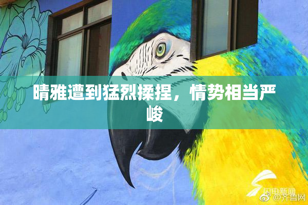 晴雅遭到猛烈揉捏，情势相当严峻