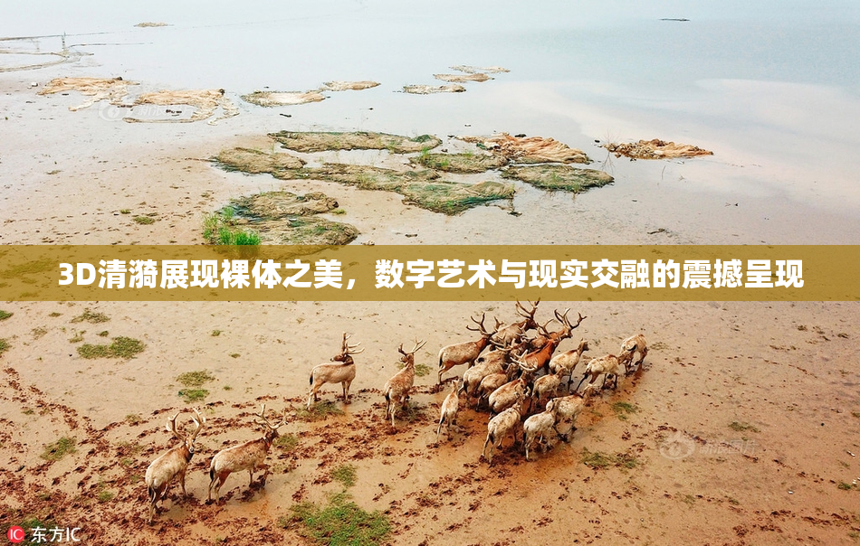 3D清漪展现裸体之美，数字艺术与现实交融的震撼呈现