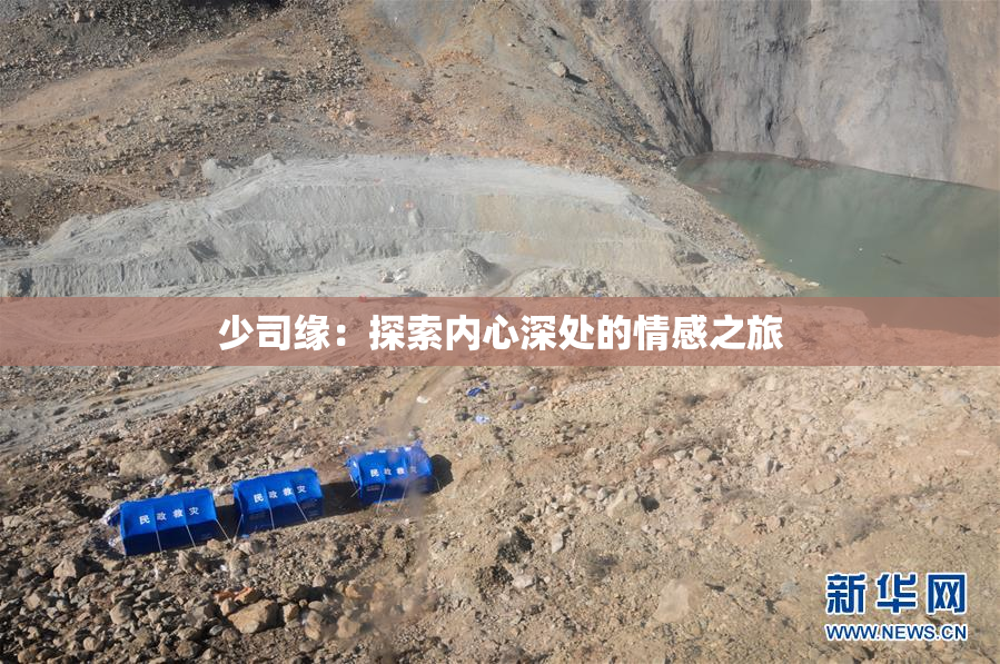 少司缘：探索内心深处的情感之旅