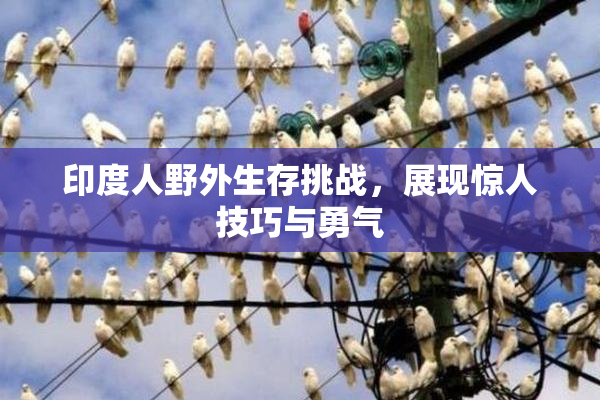 印度人野外生存挑战，展现惊人技巧与勇气