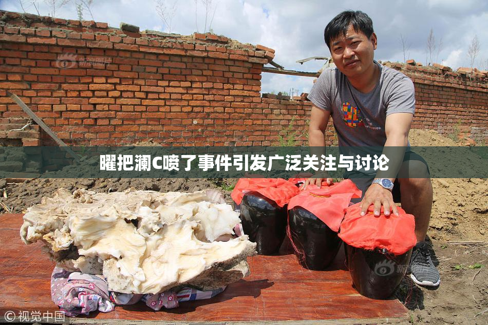 曜把澜C喷了事件引发广泛关注与讨论