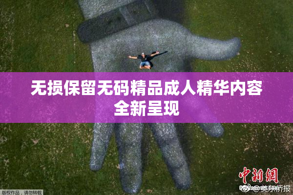 无损保留无码精品成人精华内容全新呈现