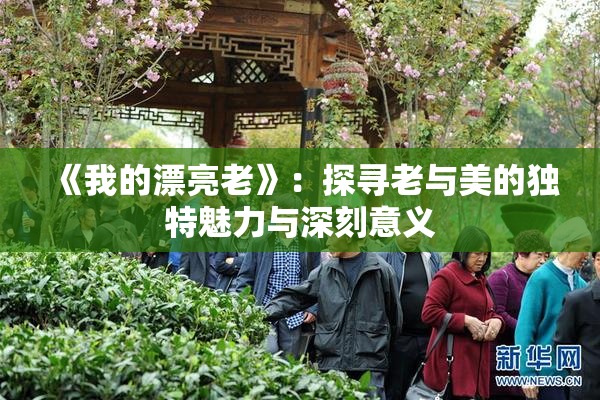 《我的漂亮老》：探寻老与美的独特魅力与深刻意义