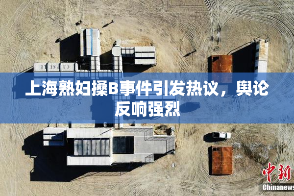 上海熟妇搡B事件引发热议，舆论反响强烈