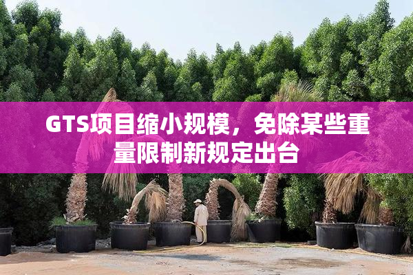 GTS项目缩小规模，免除某些重量限制新规定出台