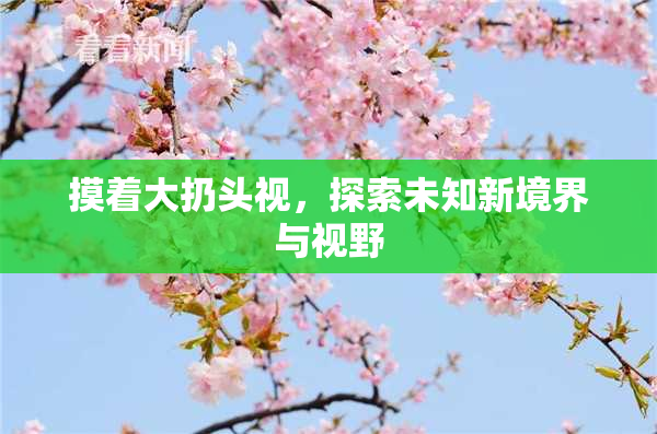 摸着大扔头视，探索未知新境界与视野