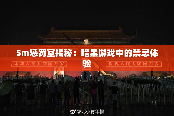 Sm惩罚室揭秘：暗黑游戏中的禁忌体验