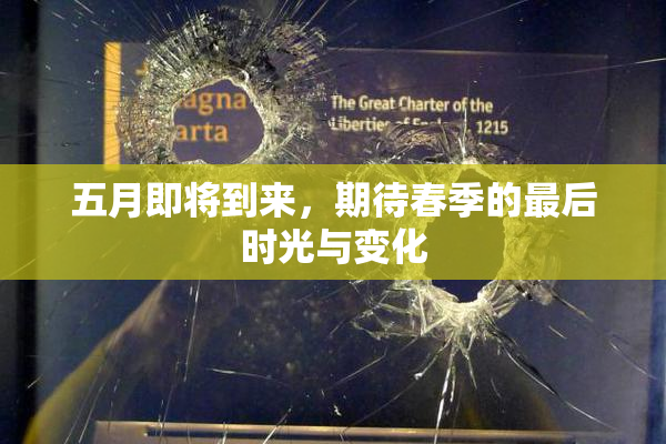 五月即将到来，期待春季的最后时光与变化