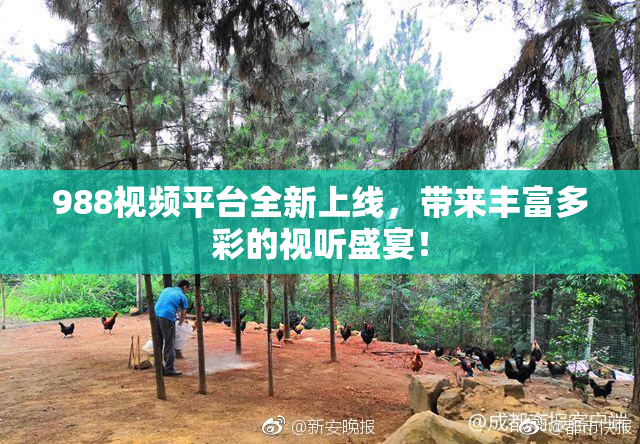 988视频平台全新上线，带来丰富多彩的视听盛宴！