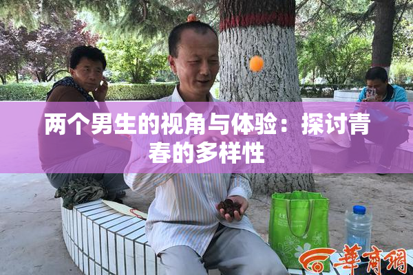 两个男生的视角与体验：探讨青春的多样性
