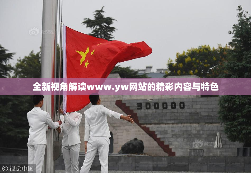 全新视角解读www.yw网站的精彩内容与特色