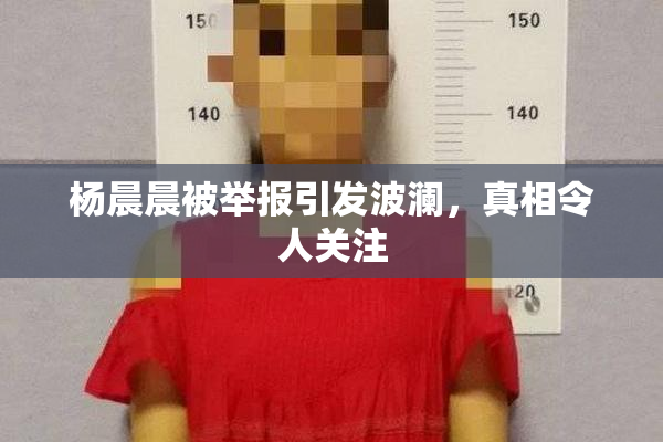 杨晨晨被举报引发波澜，真相令人关注