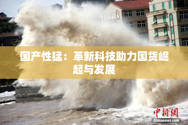 国产性猛：革新科技助力国货崛起与发展