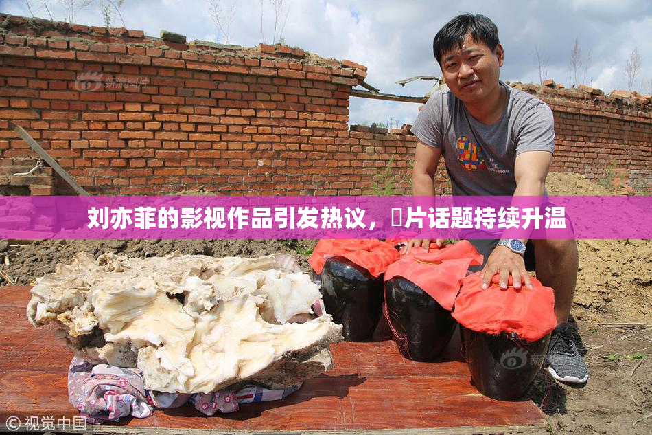 刘亦菲的影视作品引发热议，婬片话题持续升温