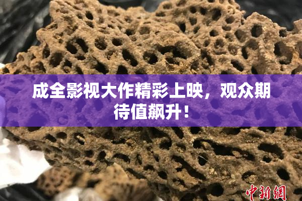 成全影视大作精彩上映，观众期待值飙升！