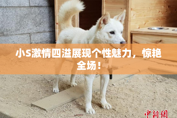 小S激情四溢展现个性魅力，惊艳全场！
