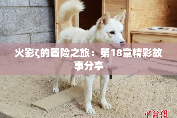 火影ζ的冒险之旅：第18章精彩故事分享
