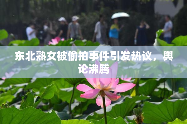 东北熟女被偷拍事件引发热议，舆论沸腾