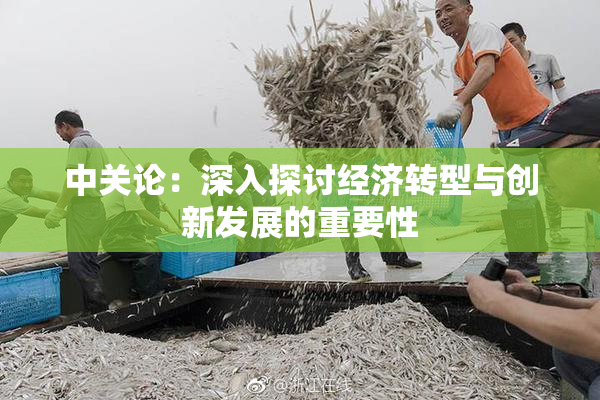 中关论：深入探讨经济转型与创新发展的重要性