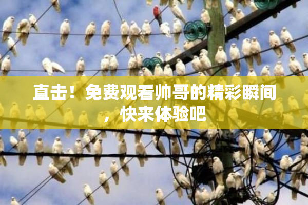 直击！免费观看帅哥的精彩瞬间，快来体验吧