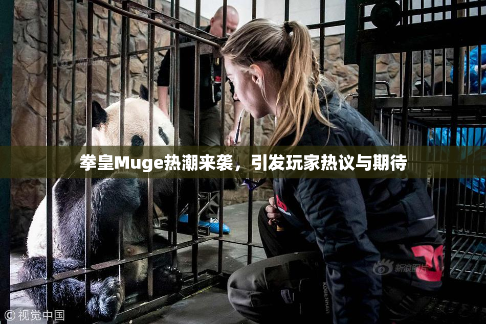 拳皇Muge热潮来袭，引发玩家热议与期待