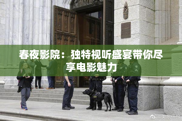 春夜影院：独特视听盛宴带你尽享电影魅力