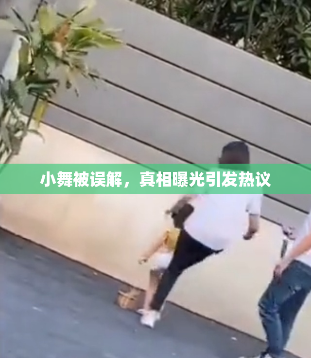 小舞被误解，真相曝光引发热议