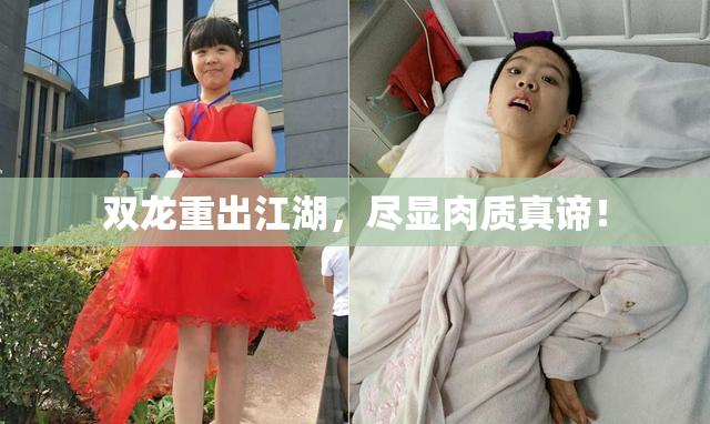 双龙重出江湖，尽显肉质真谛！
