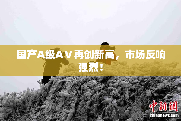 国产A级AⅤ再创新高，市场反响强烈！