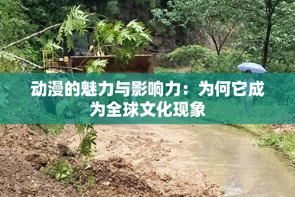 动漫的魅力与影响力：为何它成为全球文化现象