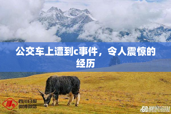 公交车上遭到c事件，令人震惊的经历