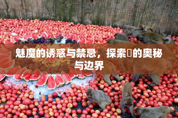 魅魔的诱惑与禁忌，探索婬的奥秘与边界