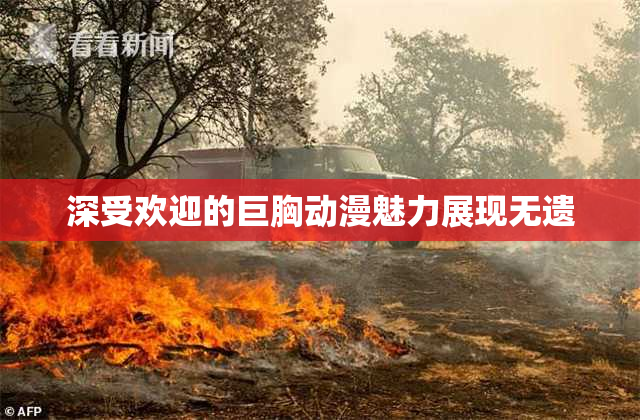 深受欢迎的巨胸动漫魅力展现无遗