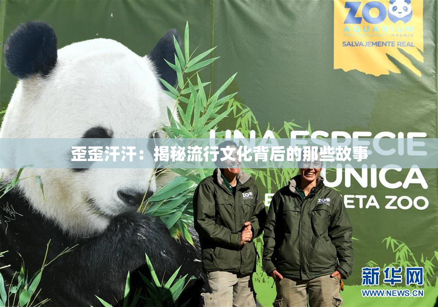 歪歪汗汗：揭秘流行文化背后的那些故事