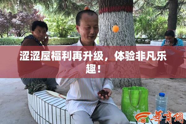 涩涩屋福利再升级，体验非凡乐趣！