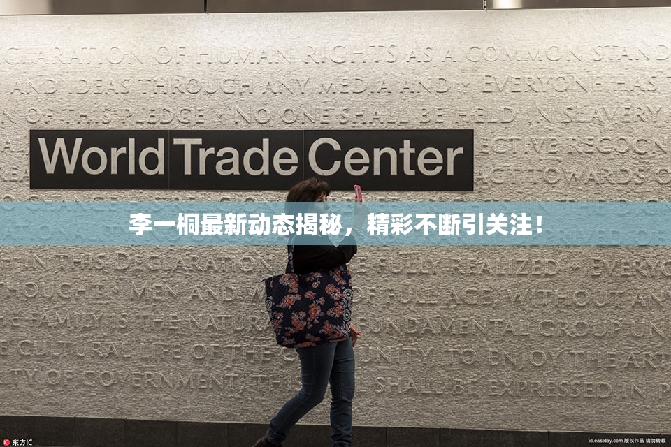 李一桐最新动态揭秘，精彩不断引关注！