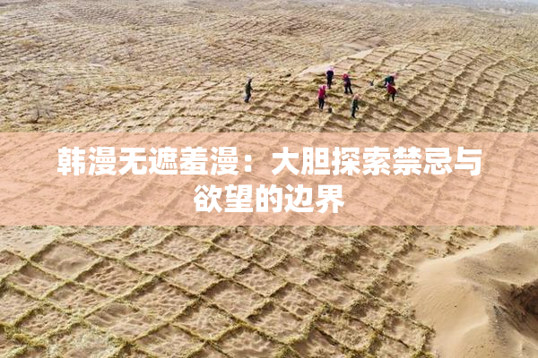 韩漫无遮羞漫：大胆探索禁忌与欲望的边界