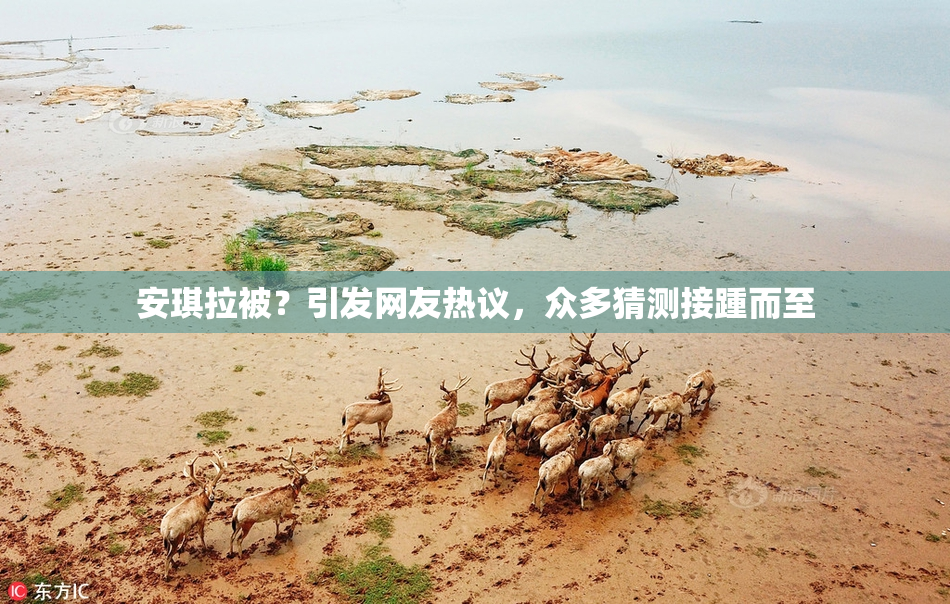 安琪拉被？引发网友热议，众多猜测接踵而至