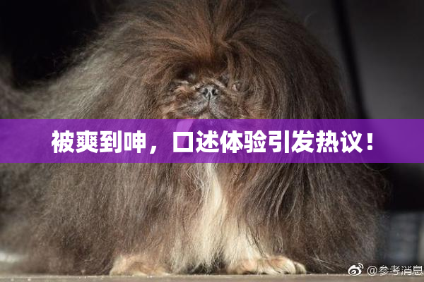 被爽到呻，口述体验引发热议！
