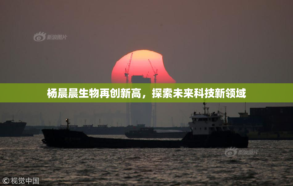 杨晨晨生物再创新高，探索未来科技新领域