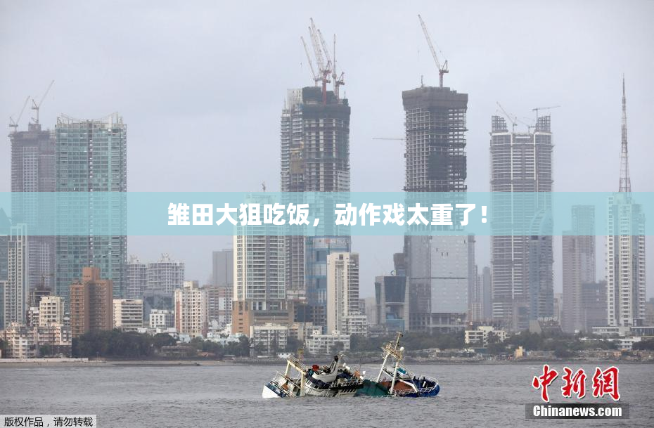雏田大狙吃饭，动作戏太重了！