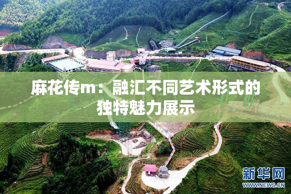 麻花传m：融汇不同艺术形式的独特魅力展示