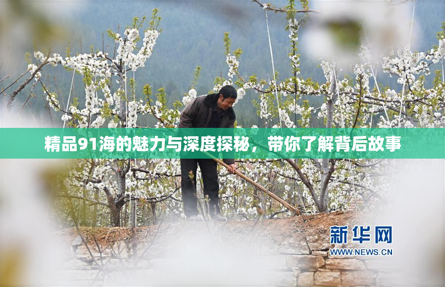 精品91海的魅力与深度探秘，带你了解背后故事