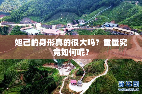 妲己的身形真的很大吗？重量究竟如何呢？