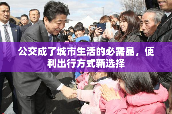 公交成了城市生活的必需品，便利出行方式新选择
