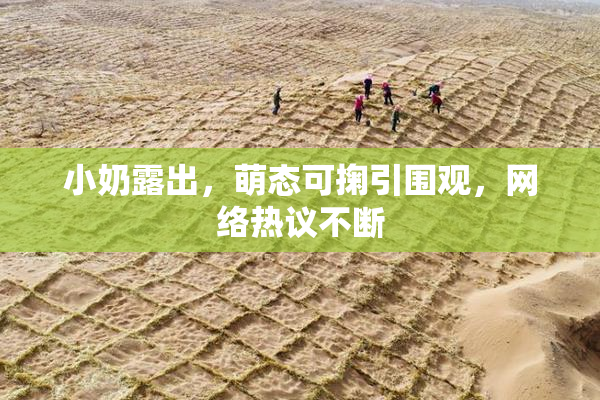 小奶露出，萌态可掬引围观，网络热议不断