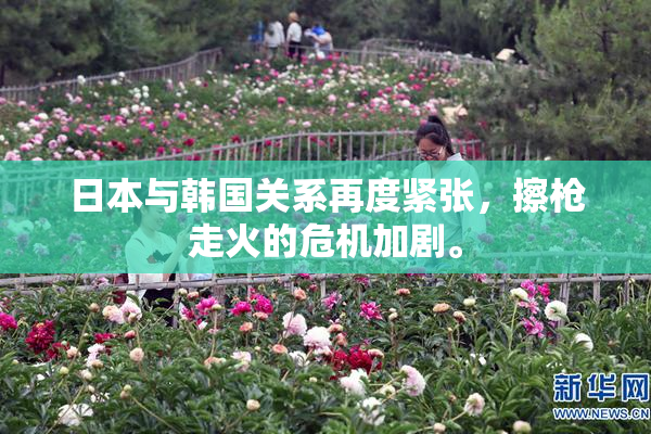 日本与韩国关系再度紧张，擦枪走火的危机加剧。