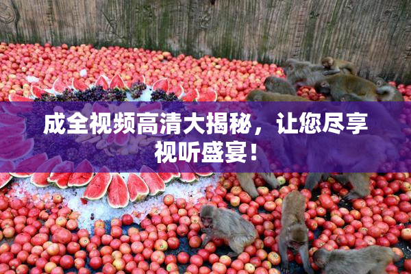 成全视频高清大揭秘，让您尽享视听盛宴！