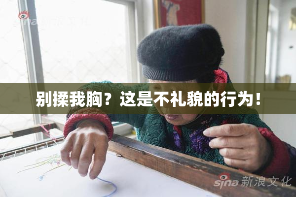 别揉我胸？这是不礼貌的行为！